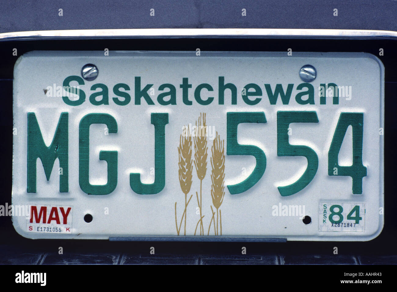 Kanadischen Saskatchewan Registrierung Autokennzeichen MGJ 554 kann 1984 JMH0648 Stockfoto