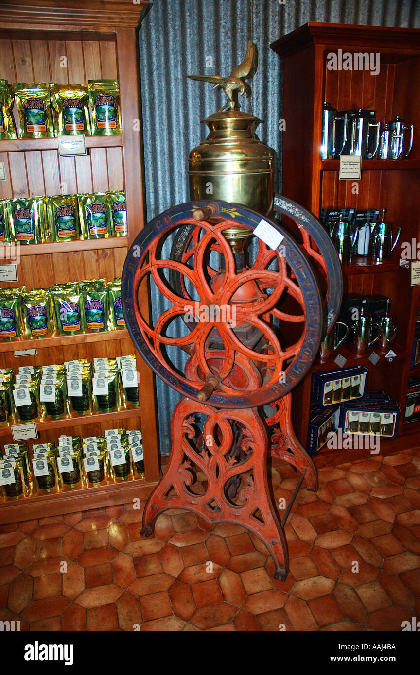 Antike Kaffeemühle freistehende Schwungrad in Coffee-Shop dsc 0111a  Stockfotografie - Alamy