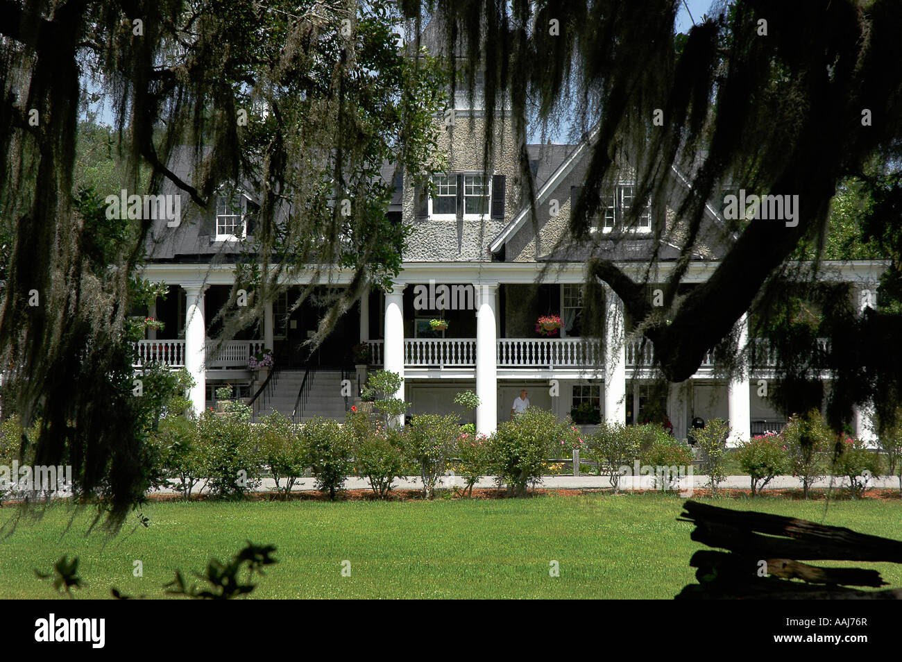 Magnolia Plantation und Gärten Charleston, South Carolina Stockfoto