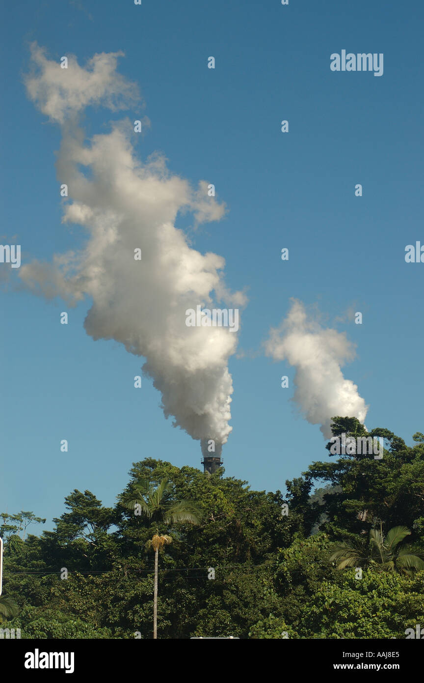 Dschungel-Wachstum im Vergleich zum entweicht Dampf entweichen von Mühle Zuckerfabrik dsc 0523 Stockfoto