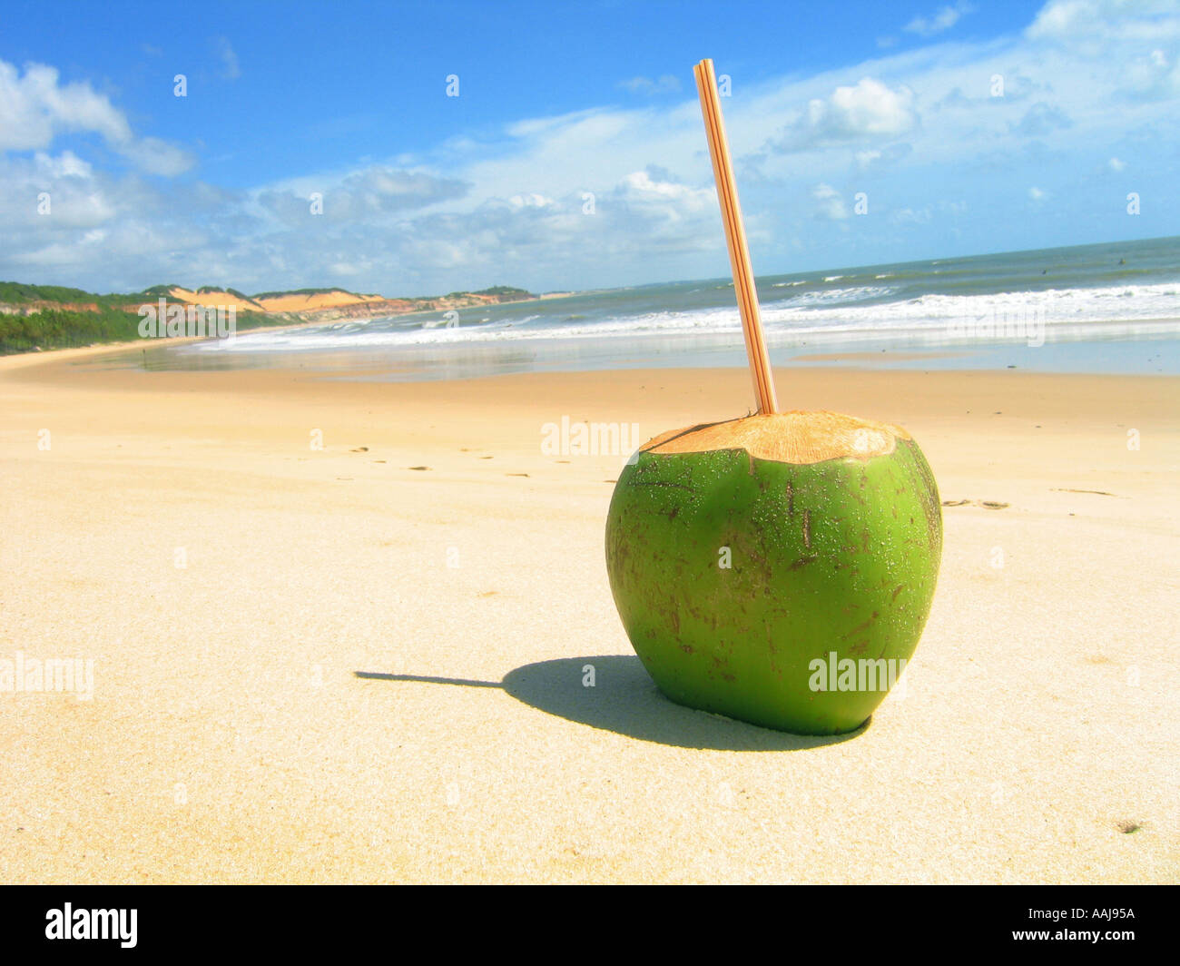 Coco Verde Kokosmilch trinken an den abgeschiedenen Praia Madeiro Strand von Baia Dos Golfinhos Bay in Pipa, südlich von Natal, Brasilien. Stockfoto