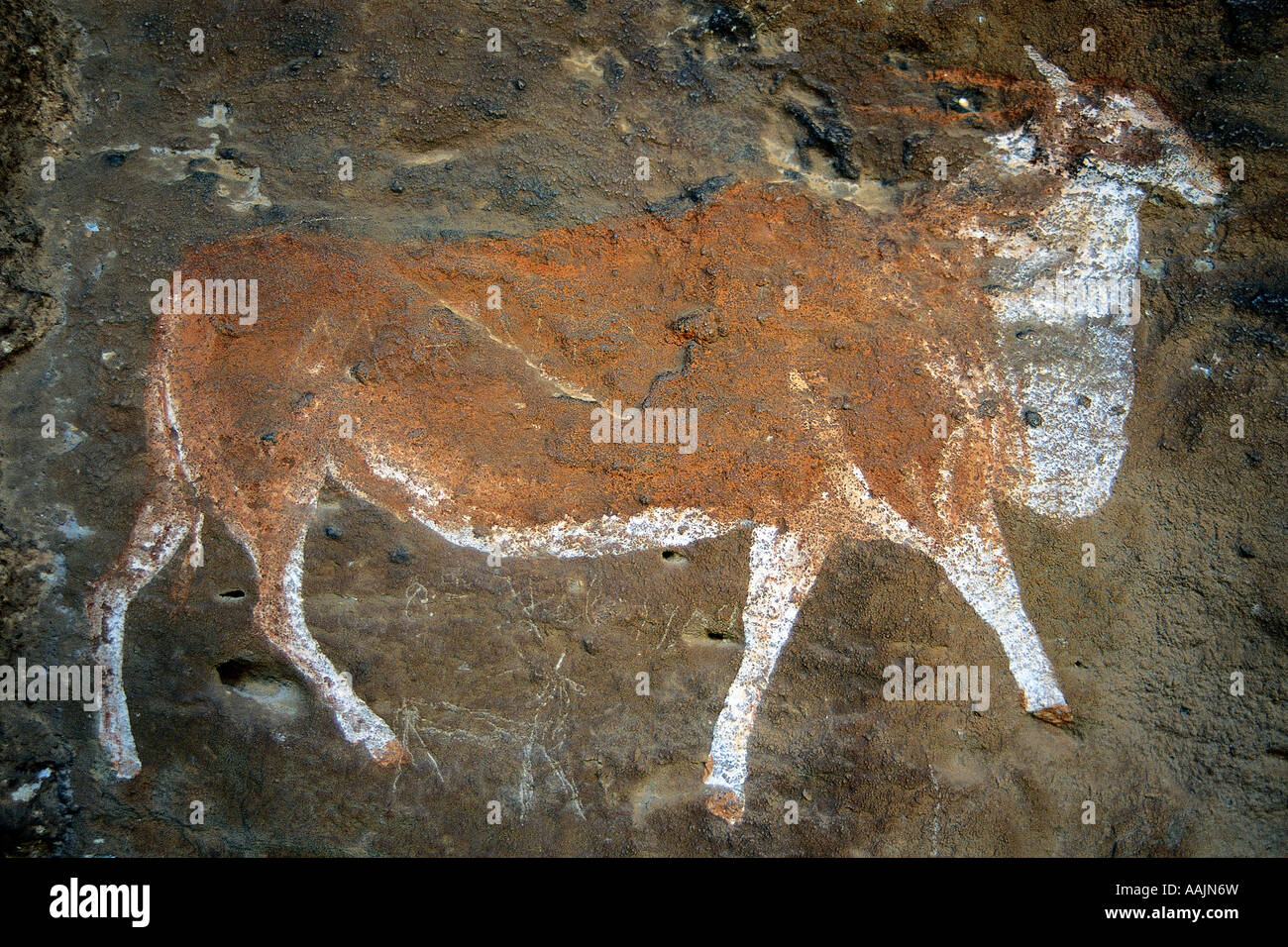 San Bushman Malerei ein Eland Antilopen Oranjefreistaat Südafrika Stockfoto