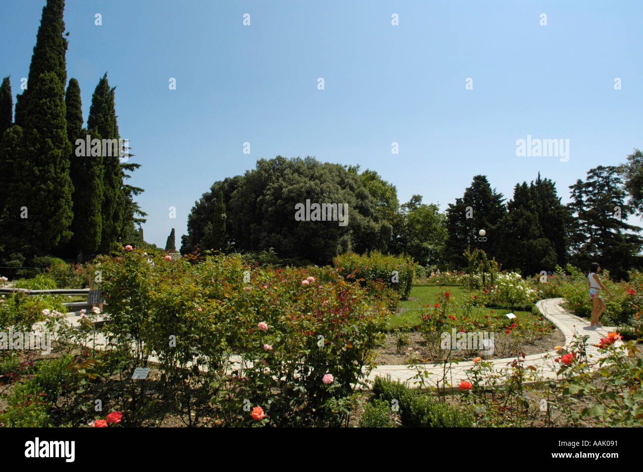 Krim, Welt berühmten Botanischen Garten von Nikita Stockfoto