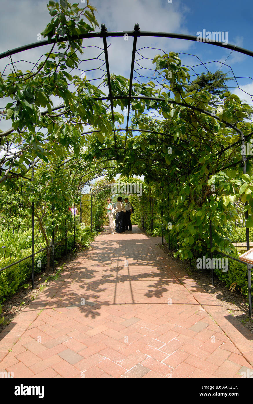 Die Laube in der Physic Garden in Buckfast Abbey, Devon UK Stockfoto