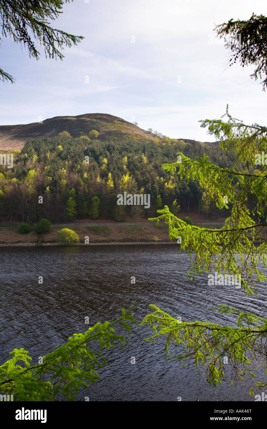 Blick in Richtung Whinstone Lee Tor aus Ladybower Vorratsbehälter im Derwent Valley Stockfoto