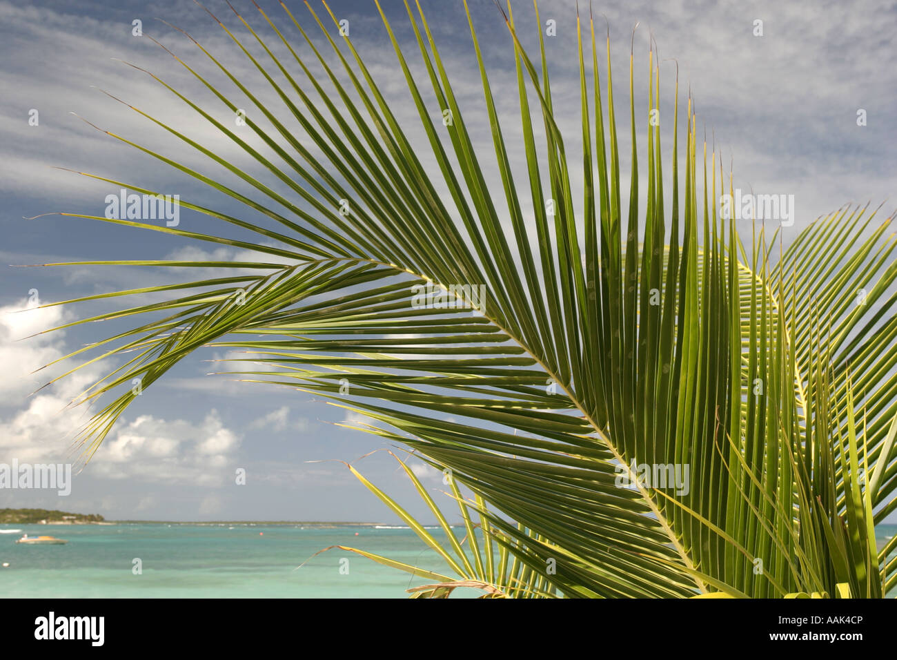 Antigua, Caribbean Stockfoto