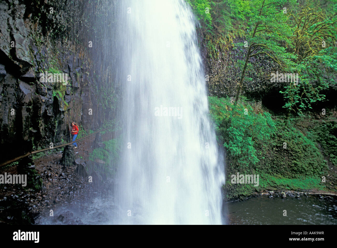 Silver Falls State Park Oregon Wanderer unterwegs, die hinter Lower South Falls geht Stockfoto