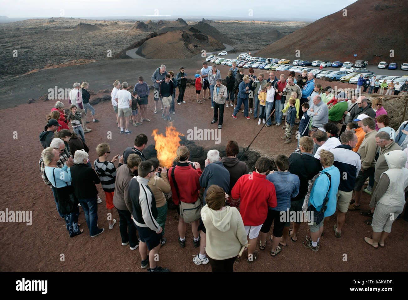 Thermische Aktivität zündet trockenes Stroh der Berg des Feuers im Timanfaya Mountain of Fire neu Stockfoto