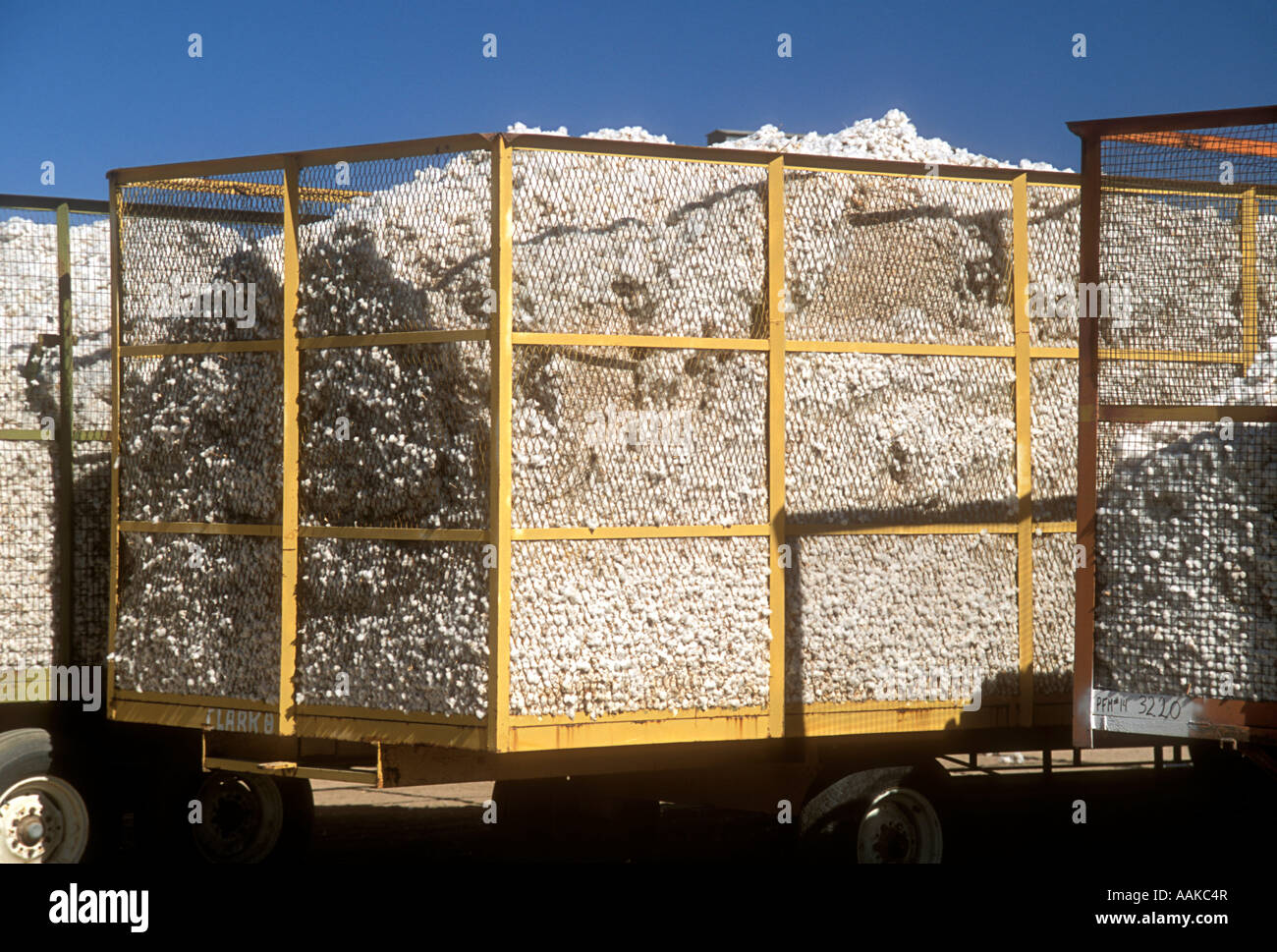 LKW-Ladungen von Baumwolle zur Marktreife Marana, Arizona Stockfoto