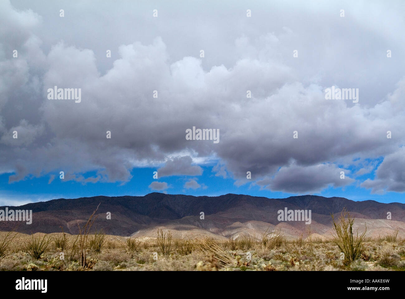 Gewitterwolken und seltsamen Himmel Anza Borrego State Park in Kalifornien Stockfoto