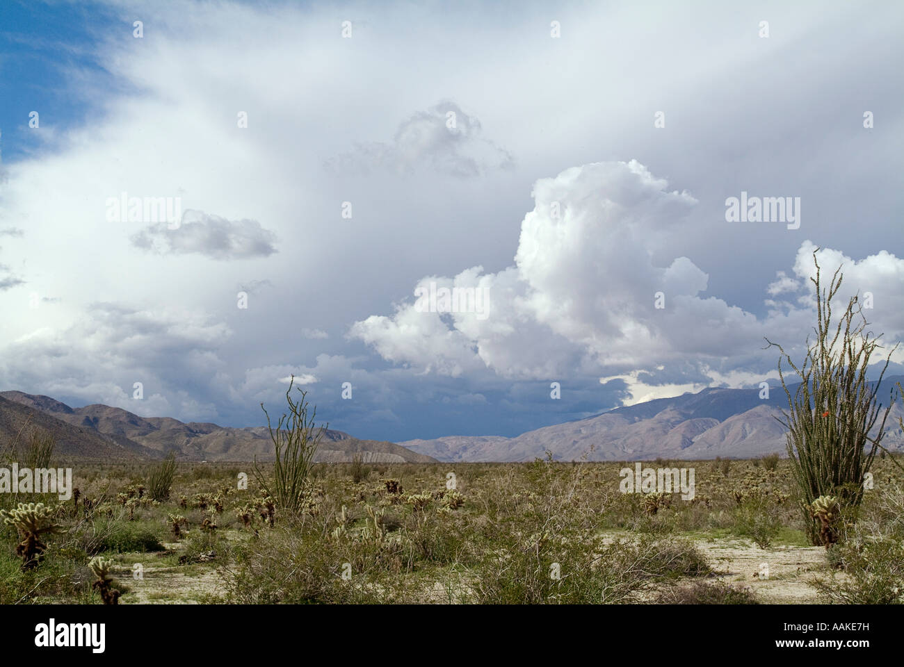 Sturm Wolken Anza Borrego State Park in Kalifornien Stockfoto