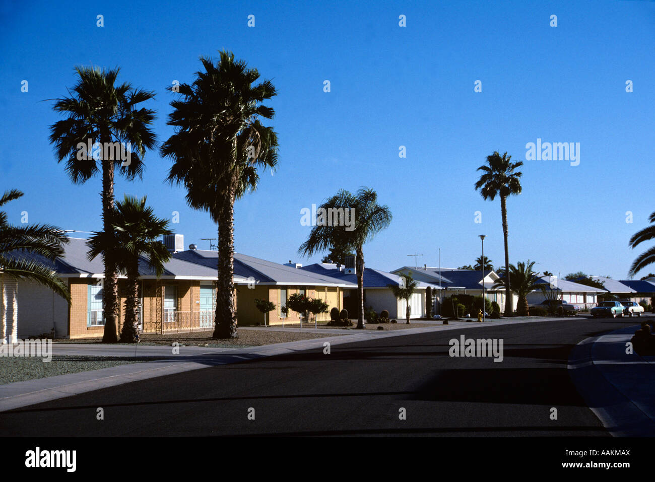 1980ER JAHRE WÜSTE WALD KREIS SONNENSTADT ARIZONA USA Stockfoto