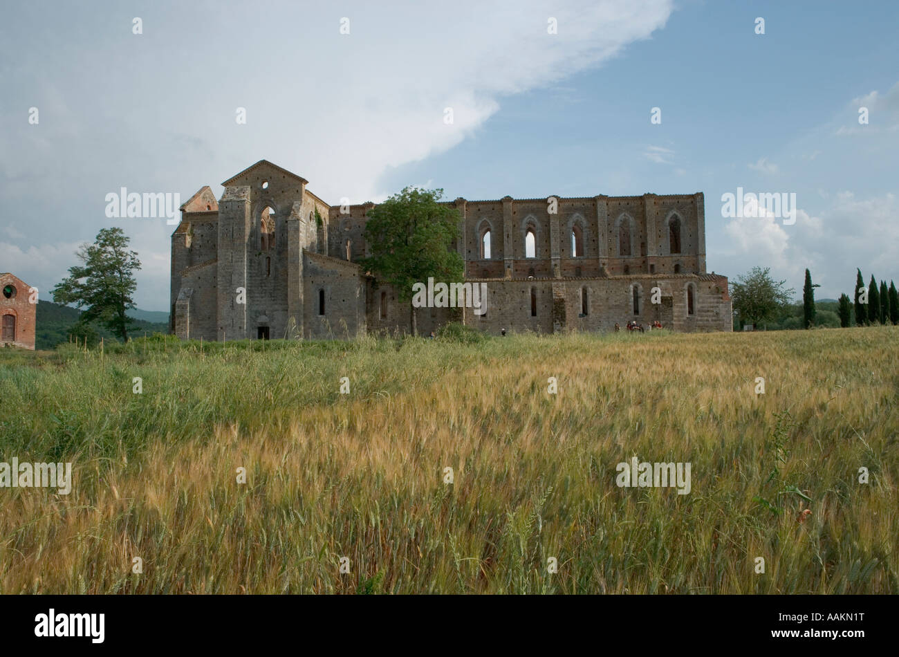 Italien Europa Europäische Union italienischer Abgeordneter westlichen Süden toskanischen Südtoskana San Galgano Stockfoto