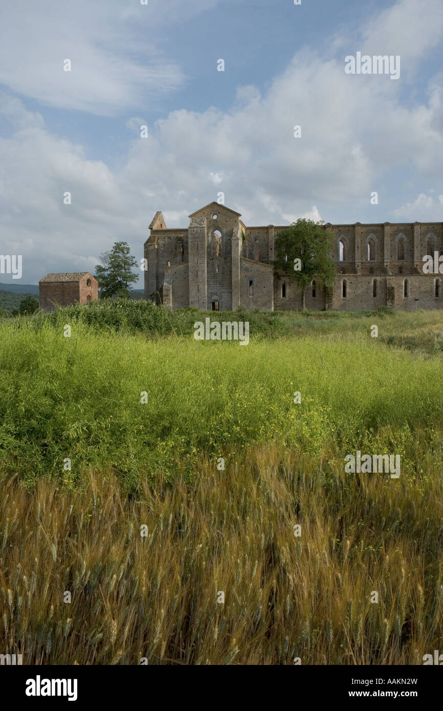 Italien Europa Europäische Union italienischer Abgeordneter westlichen Süden toskanischen Südtoskana San Galgano Stockfoto