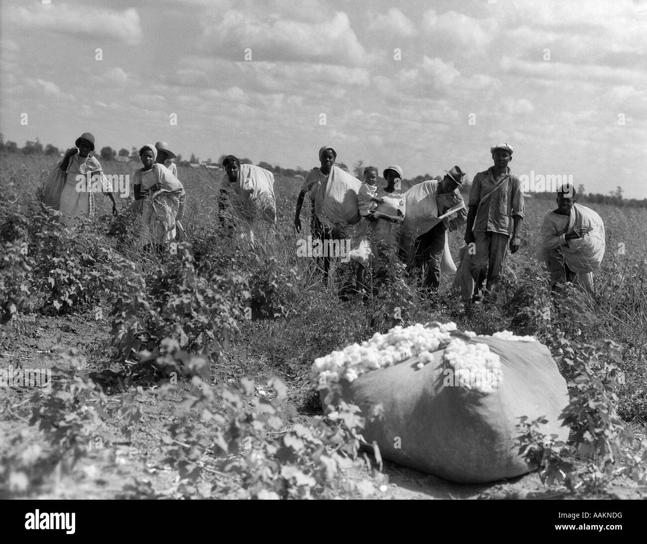 1930ER JAHRE GRUPPE DER AFRIKANISCHEN AMERIKANISCHEN ARBEITER MIT TASCHEN AUS BAUMWOLLE IM FELD LOUISIANA IM FREIEN Stockfoto