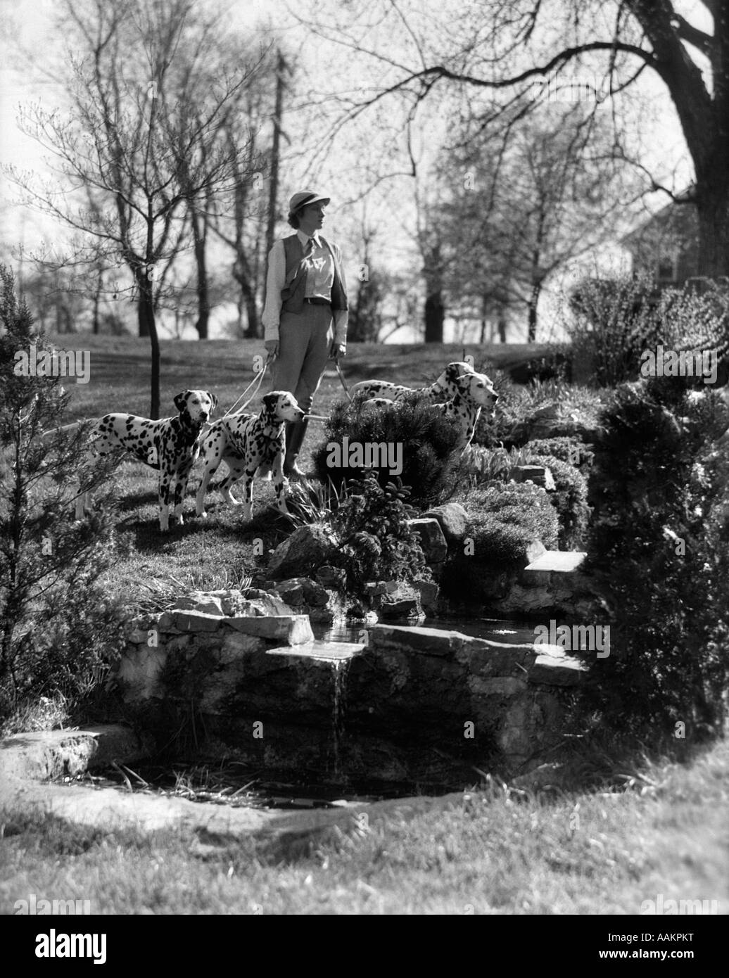 1930ER JAHREN FRAU ZU FUß 4 HUNDE DALMATINER AN LEINE AM GELÄNDE GARTEN DES HAUS LANDGUT Stockfoto