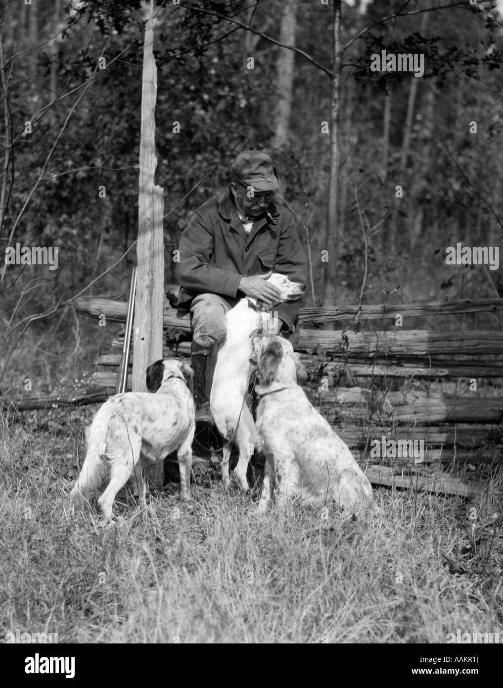 1920ER JAHRE ÄLTEREN MANN SITZEN MIT SCHROTFLINTE GEGEN ZAUN EINER DER DREI ENGLISCH SETTER-JAGD-HUNDE STREICHELN Stockfoto