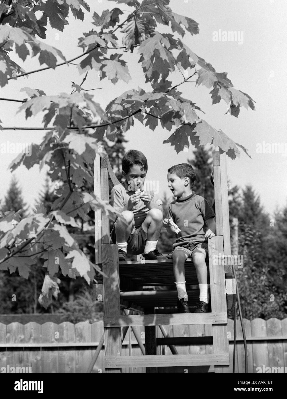 1960ER JAHREN 2 JUNGEN IM BAUMHAUS Stockfoto