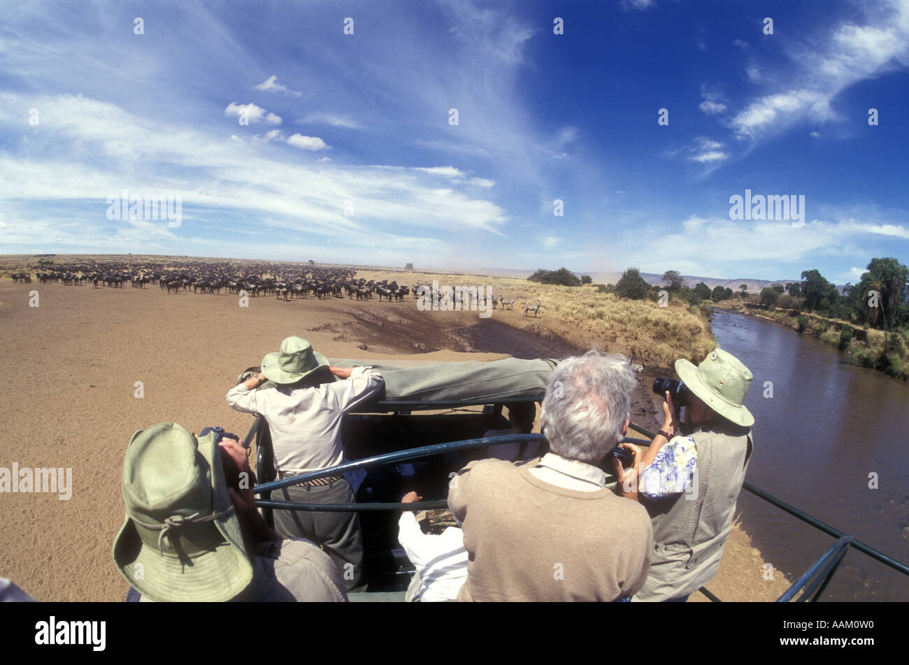 Kunden, die riesige Herde von Gnus und Zebras gemeinsamen betrachten, wie sie nähern sich den Mara River für ein Getränk Masai Mara Stockfoto