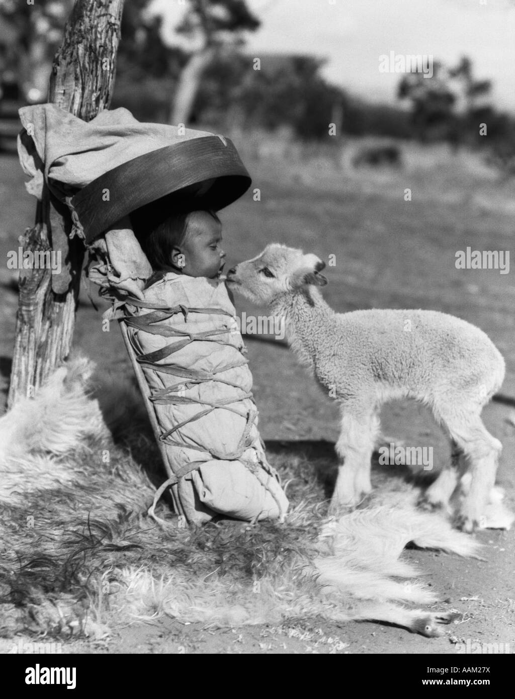 1930ER JAHREN LAMM NÄHERT SICH NAVAJO BABY IN PAPOOSE BORD SQUAW Stockfoto