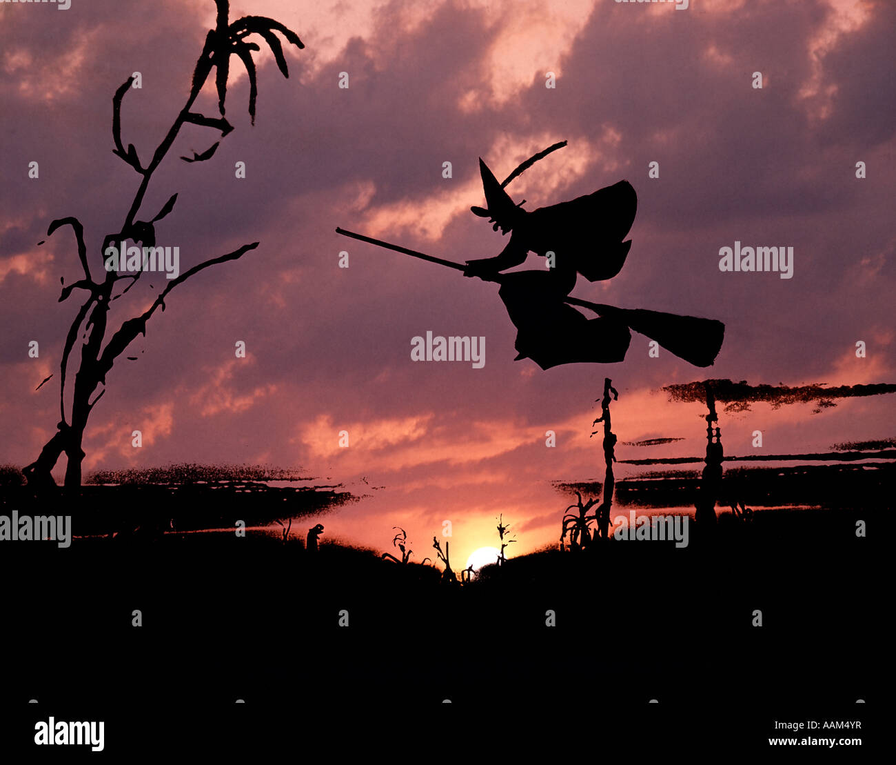 DIGITAL COMPOSITE SONNENUNTERGANG UND SILHOUETTE DER HEXE AUF EINEM BESEN Stockfoto