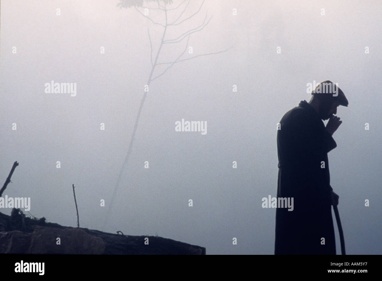 Älterer Mann mit schwarzem Mantel und Hut hält ein Rohrstock, blattlosen Baum im Nebel. Stockfoto