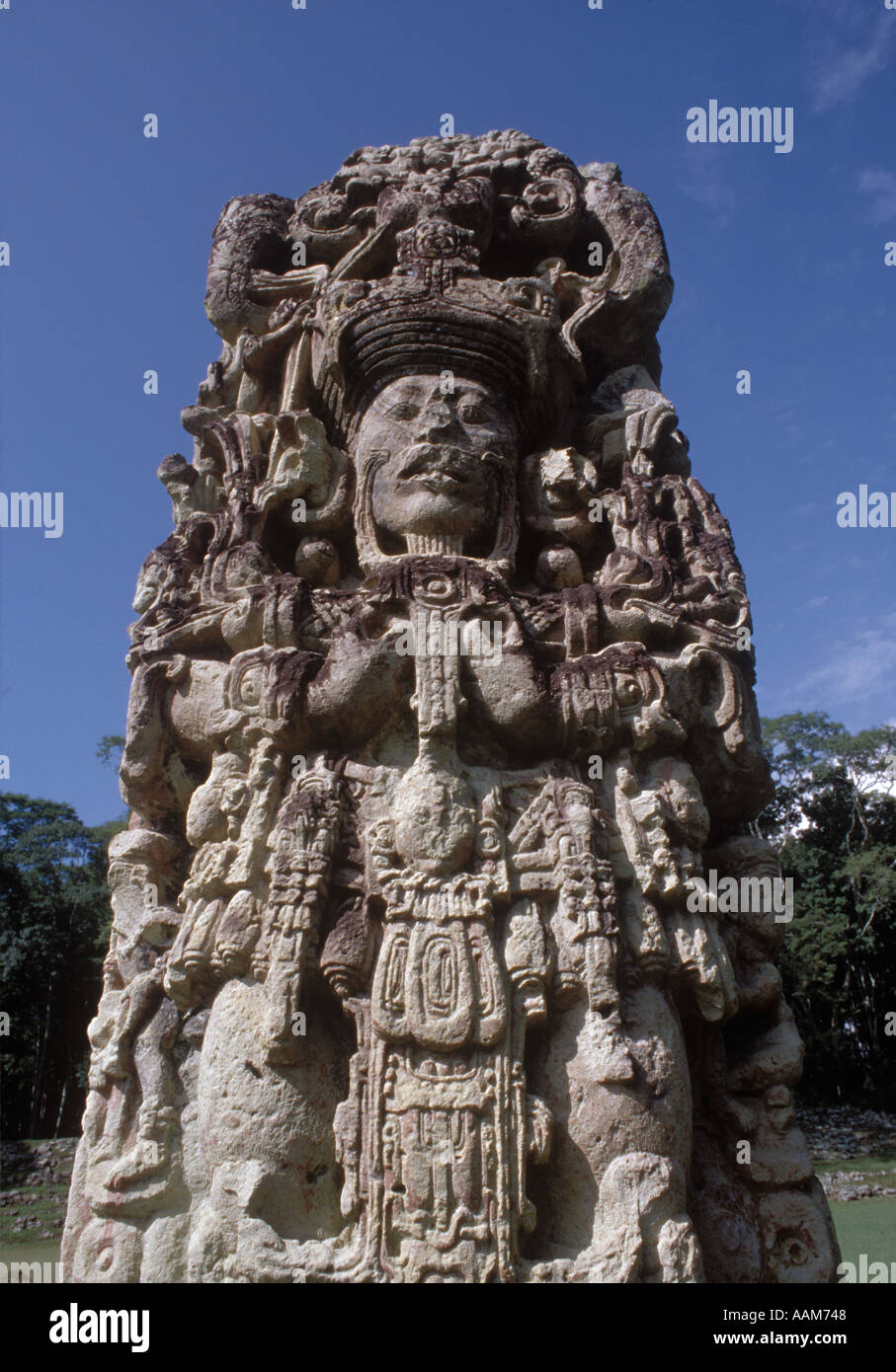 STELA B MAYAN Stein schnitzen Darstellung des Beitritts von 18 Kaninchen einen Maya-Herrscher COPAN Ruinen HONDURAS Stockfoto