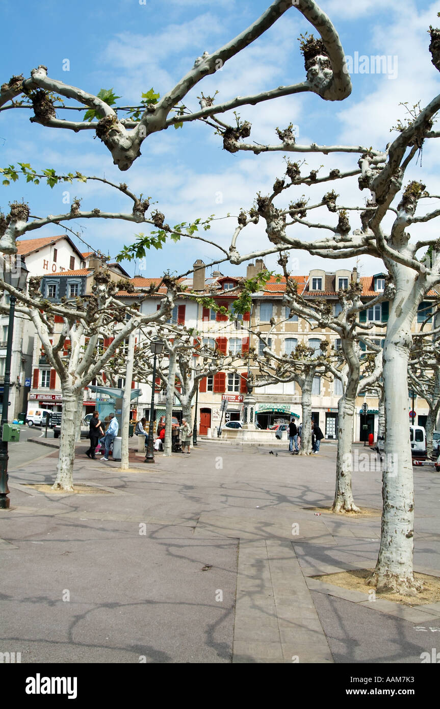 Stadtplatz, Baum, gefüttert, plain, Schatten, Bayonne, Süden von Frankreich, Französisch, Baskisch, Region, Kirche, Kathedrale, Stockfoto