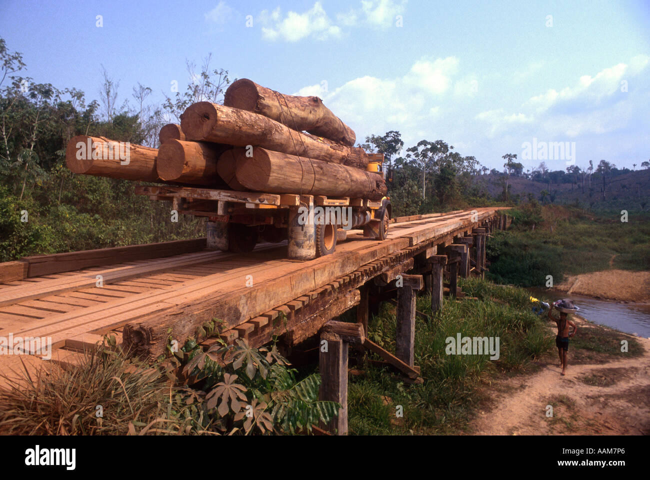 Transport von Holzstämmen, Abholzung des Regenwaldes des Amazonas, Brasilien, auf der Trans-Amazonas-Autobahn (offizielle Bezeichnung BR-230). Stockfoto