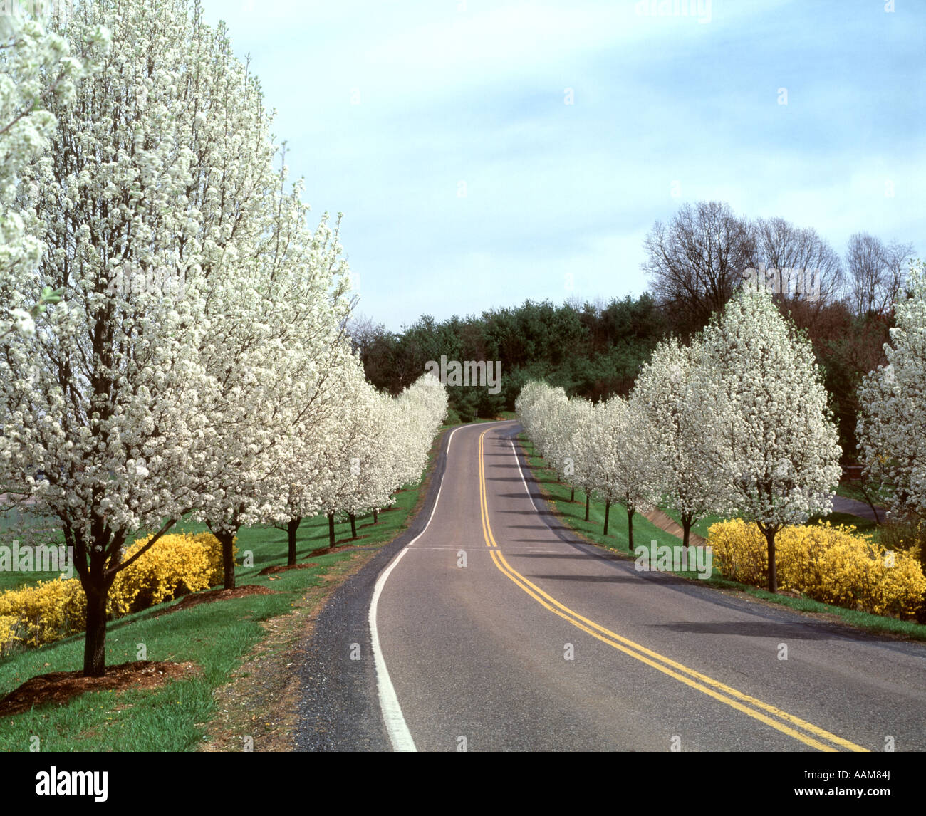 IN DER NÄHE VON HARRISONBURG VIRGINIA Stockfoto