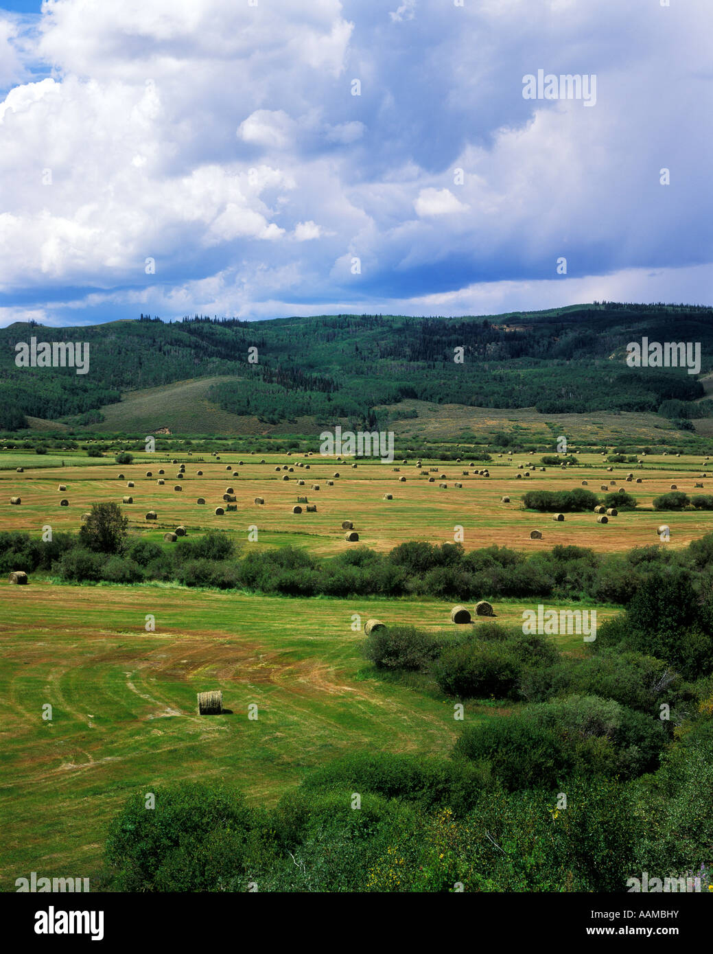 JACKSON COUNTY CO ÖSTLICH VON STEAMBOAT SPRINGS HEUBALLEN Stockfoto