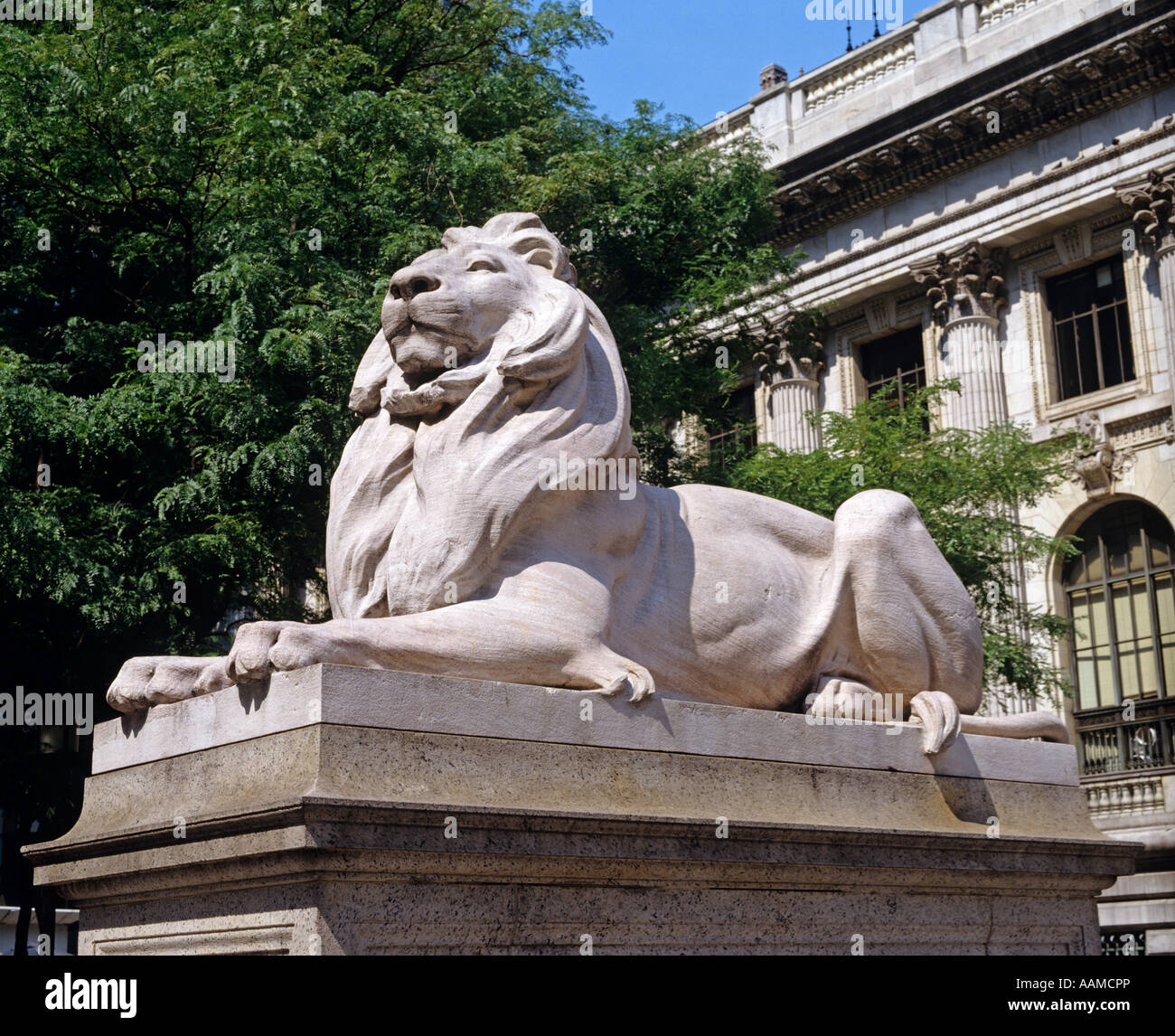 NEW YORK NY LÖWE SKULPTUR AN DER NEW YORK PUBLIC LIBRARY Stockfoto