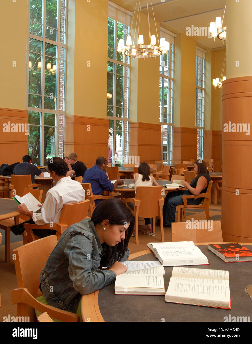 Gruppe von jungen Erwachsenen Studenten in der Bibliothek von Brooklyn College Brooklyn New York Stockfoto