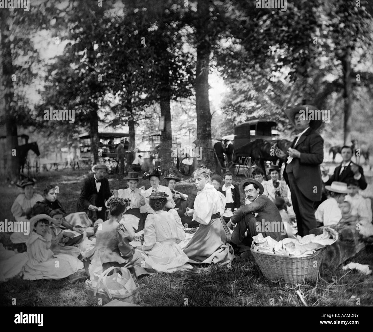 1890S 1900S UMDREHUNG DES JAHRHUNDERT-GRUPPE MIT PICKNICK IM WALD MIT PFERDEN & WAGEN IM HINTERGRUND Stockfoto