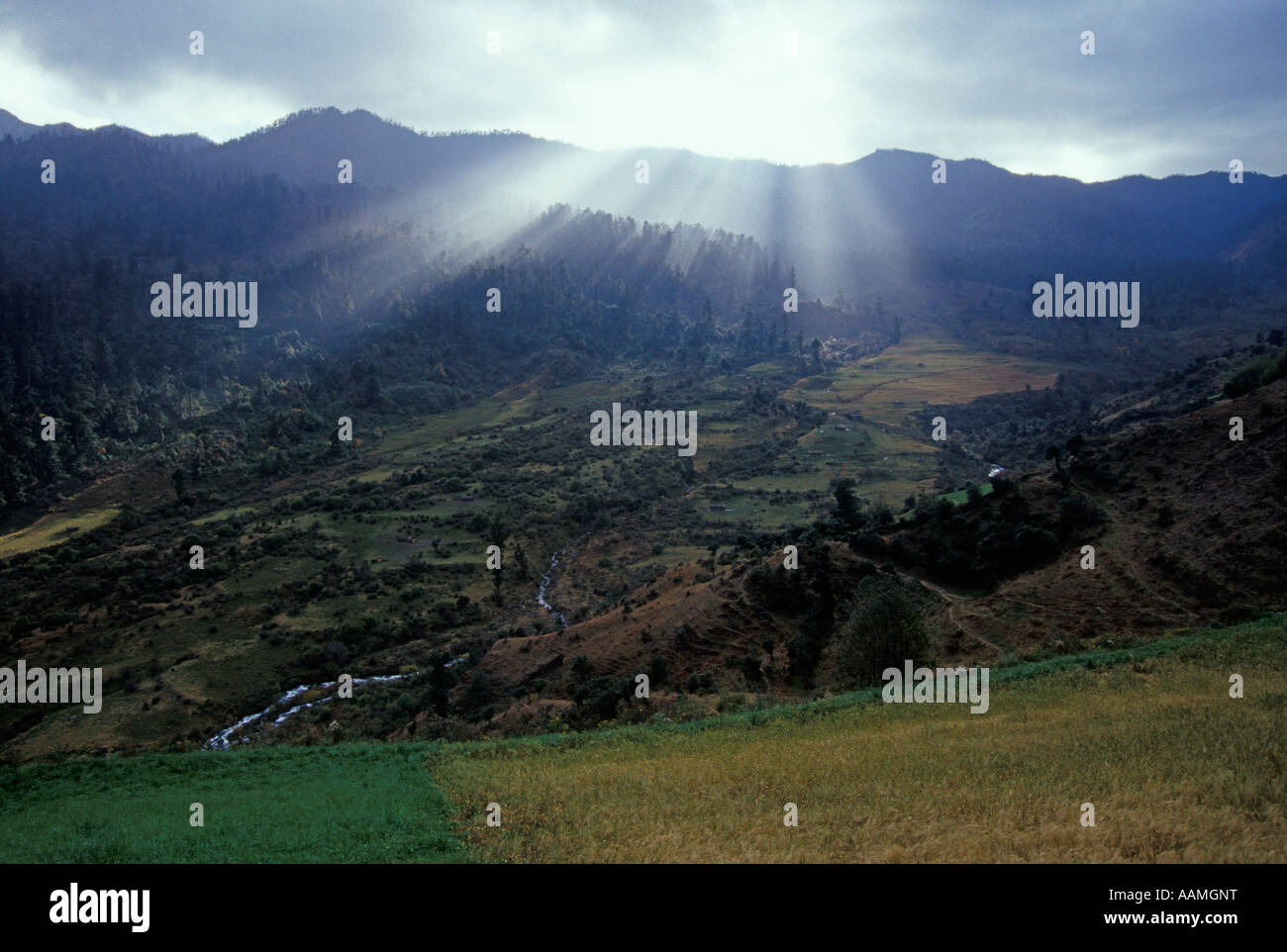 BHUTAN LANDSCHAFT GEBIRGE NEBEL Stockfoto
