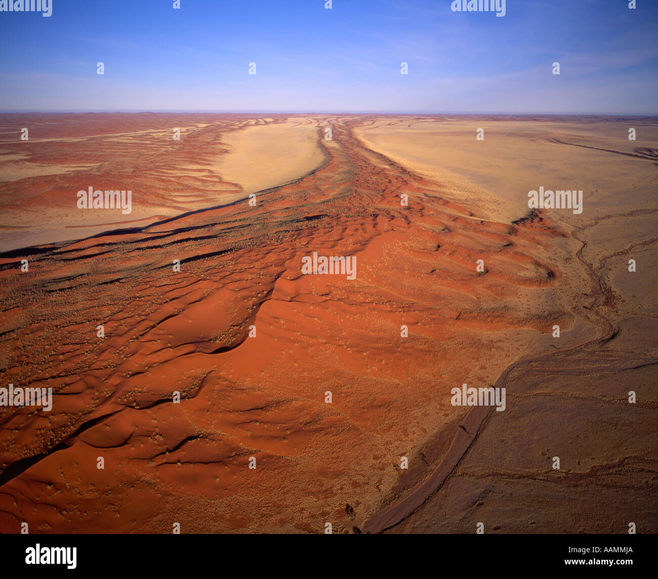 Lineare Sanddünen der Namib-Naukluft-Nationalpark, Namibia Stockfoto