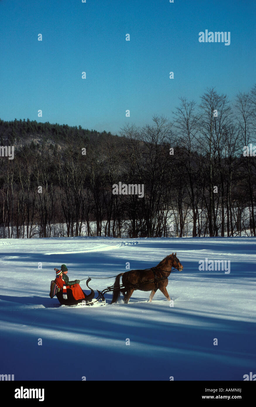 PFERDEKUTSCHE SCHLITTEN NORTH CONWAY NH Stockfoto