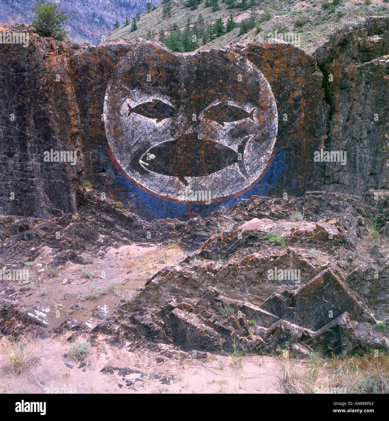 Illustrationskunstwerk der First Nations mit Fischen auf Felsen in der Nähe des Bridge River Reservats in Fraser River in Lillooet, British Columbia, Kanada Stockfoto