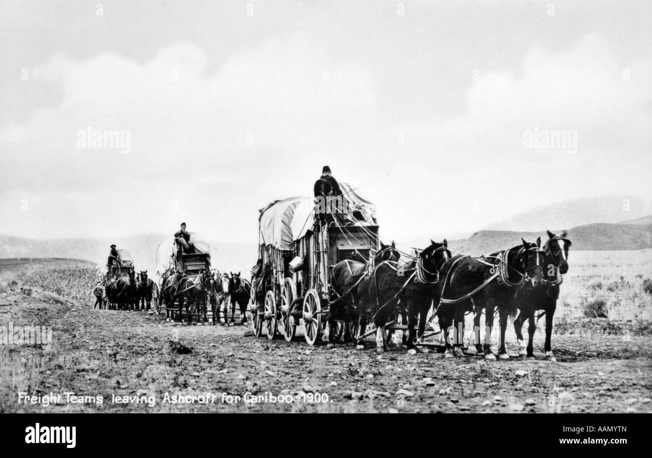 1900ER JAHRE ALTE POSTKARTE PLANWAGEN FRACHT-TEAMS VERLASSEN ASHCROFT FÜR CARIBOO KANADA Stockfoto