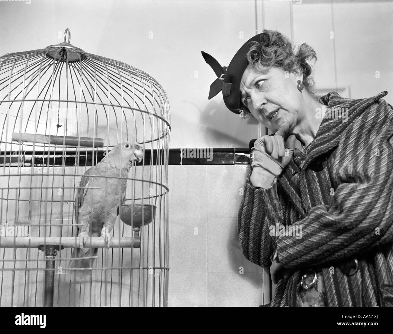1940ER JAHRE FUNNY WOMAN IN HUT & MANTEL IM GESPRÄCH MIT PAPAGEI IM KÄFIG FÜR VOGEL Stockfoto