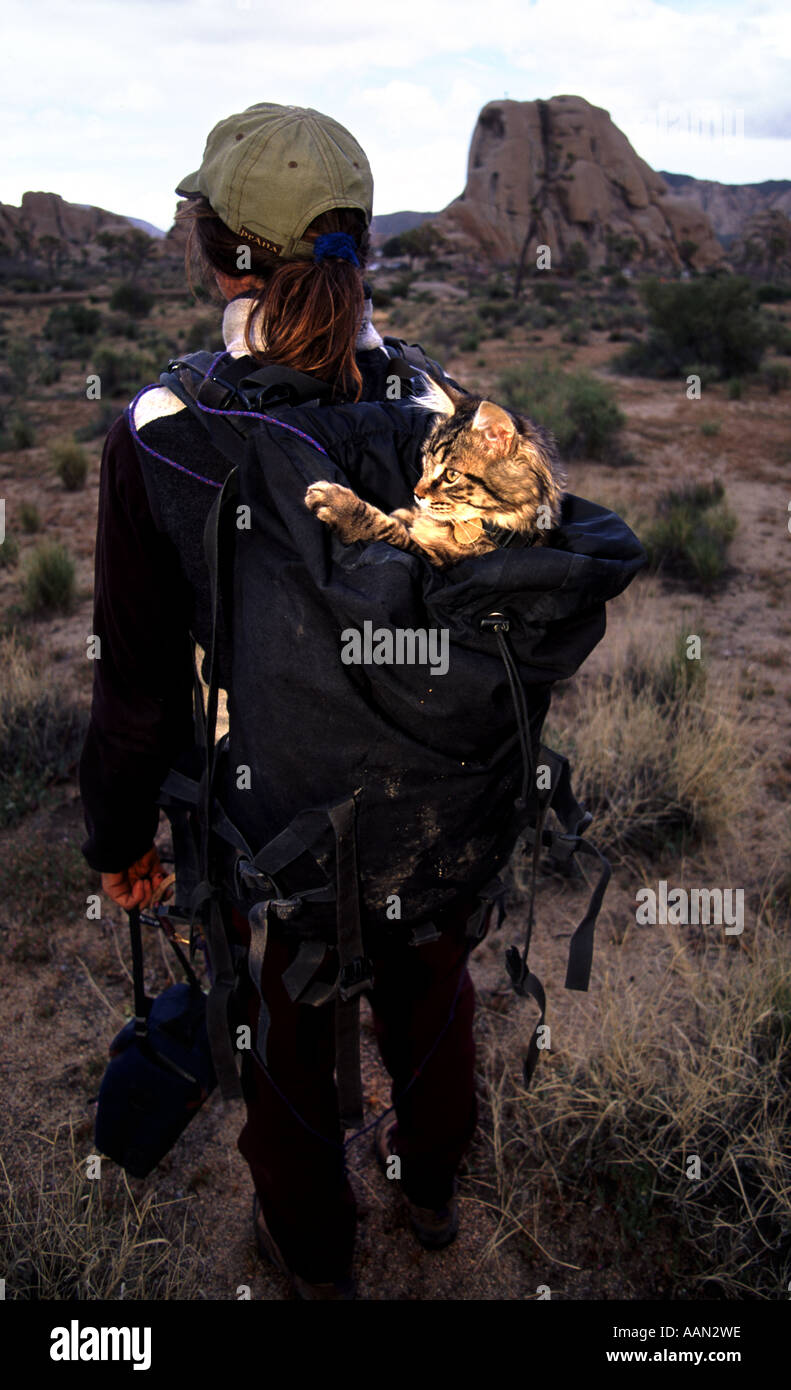 Eine Frau mit ihrem Haustier Katze in einem Rucsack in Joshua Tree Stockfoto