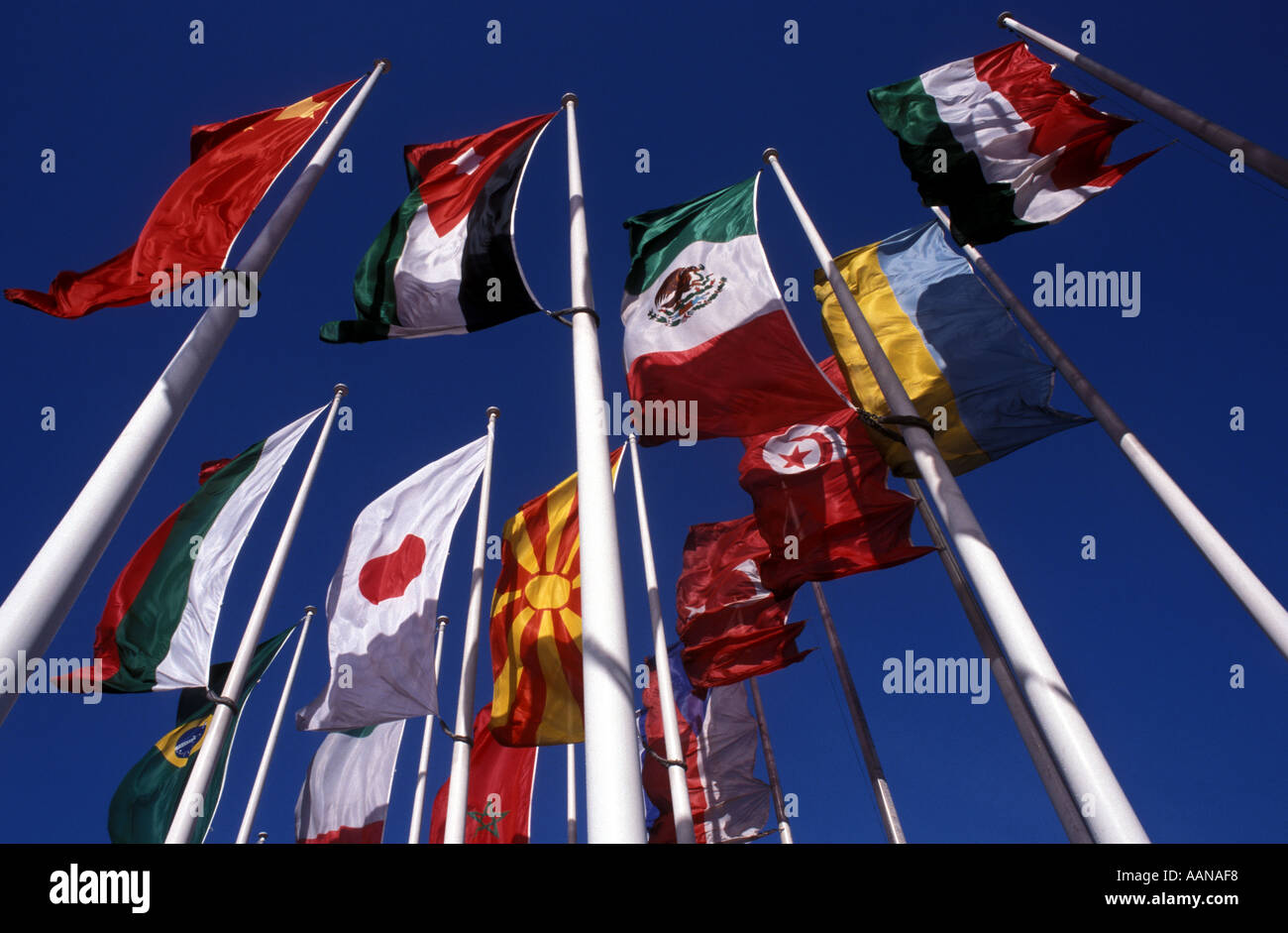 Internationale Fahnen Stockfoto