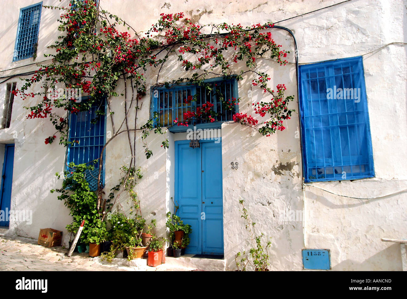 Weiße Häuser Sidi Bou sagte Tunesien Stockfoto