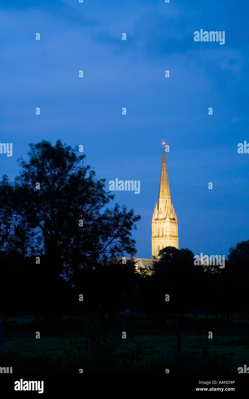 Salisbury Kathedrale Spire beleuchtet bei Nacht Wiltshire England Stockfoto