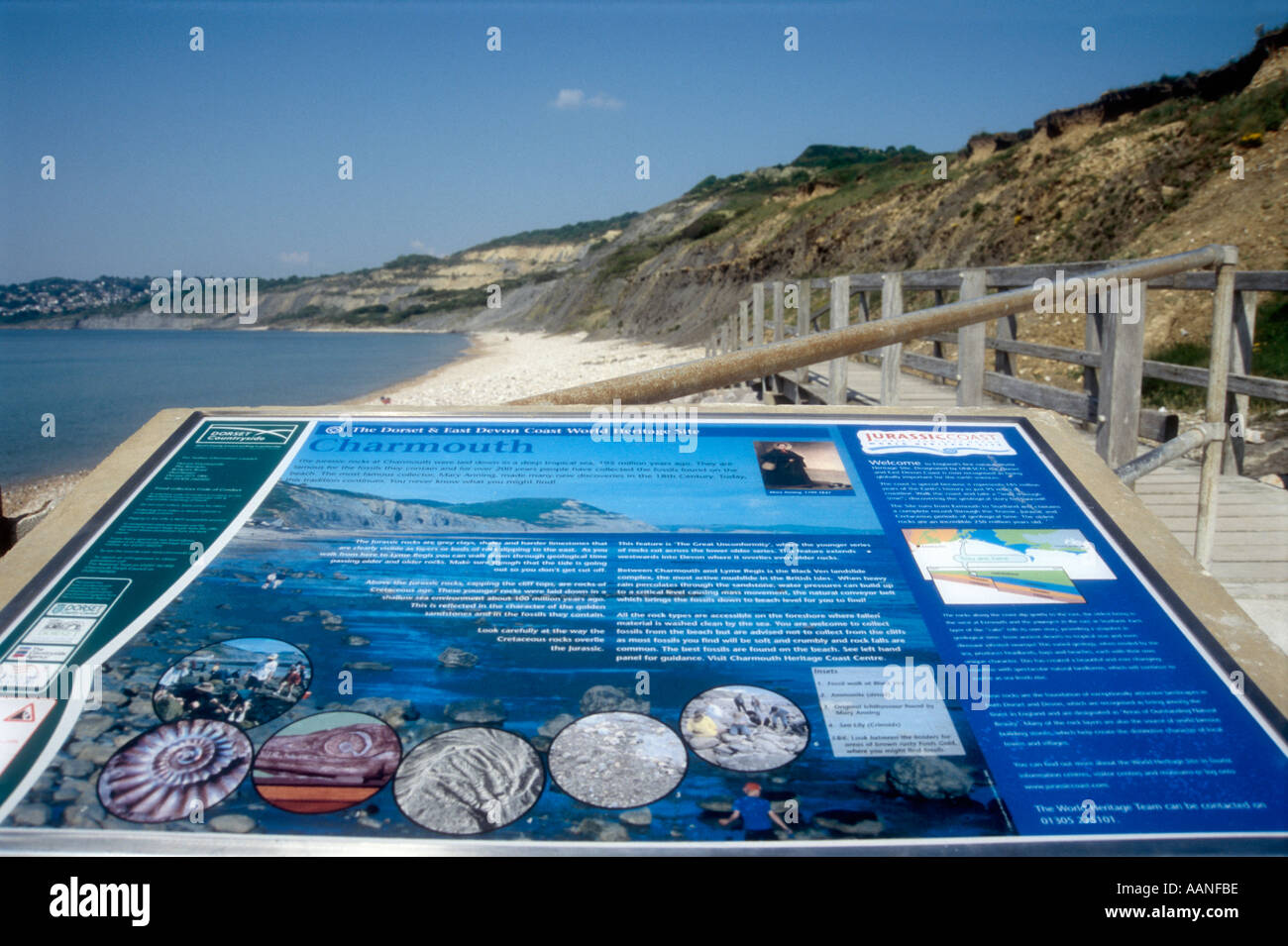 Eine Auslegung Board an der UNESCO World Heritage Jurassic Küste in Charmouth in Dorset England UK Stockfoto