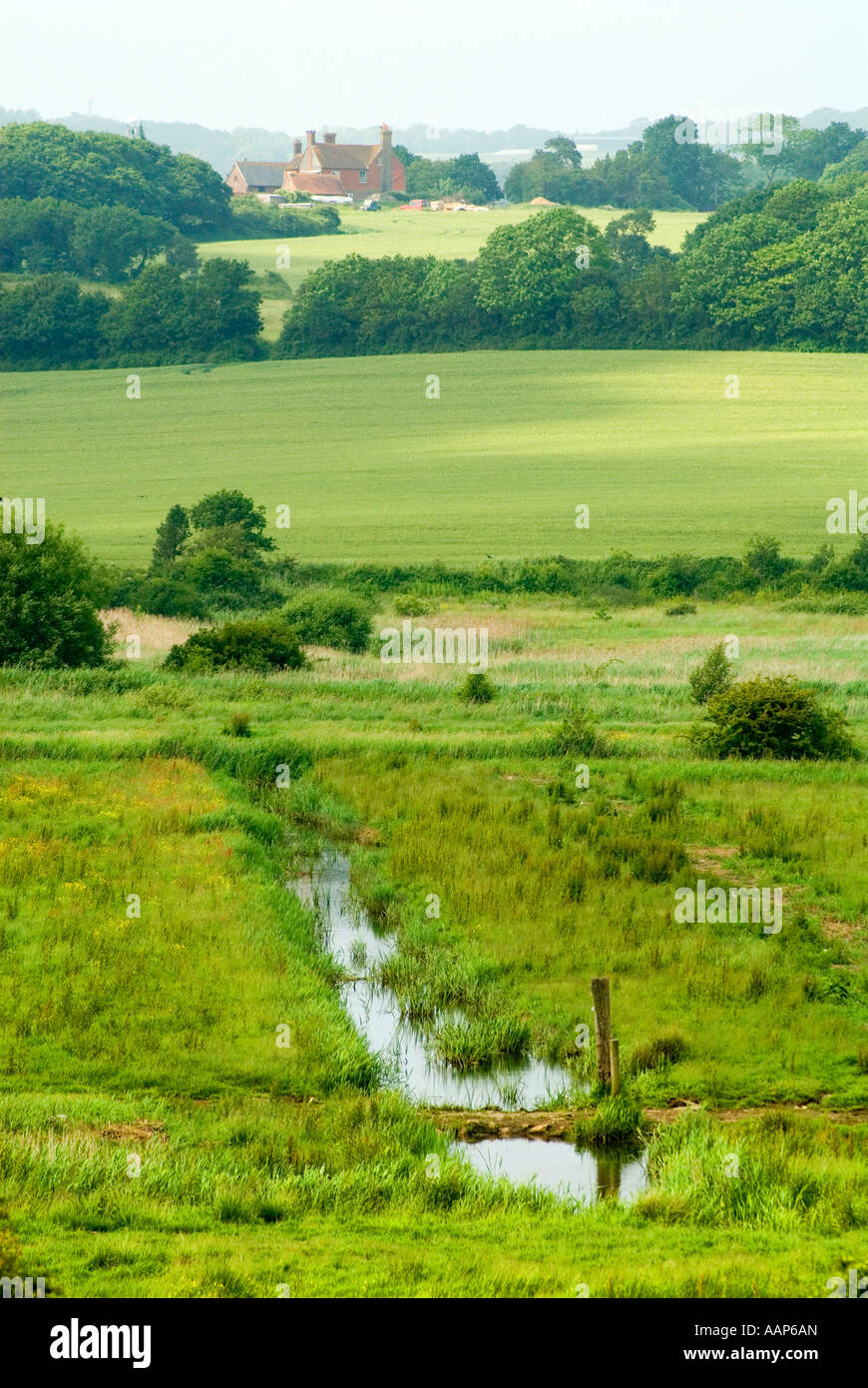 Entwässerungsgraben in Combe Haven Valley SSSI zwischen Bexhill und Hastings East Sussex England UK Großbritannien Europa Stockfoto