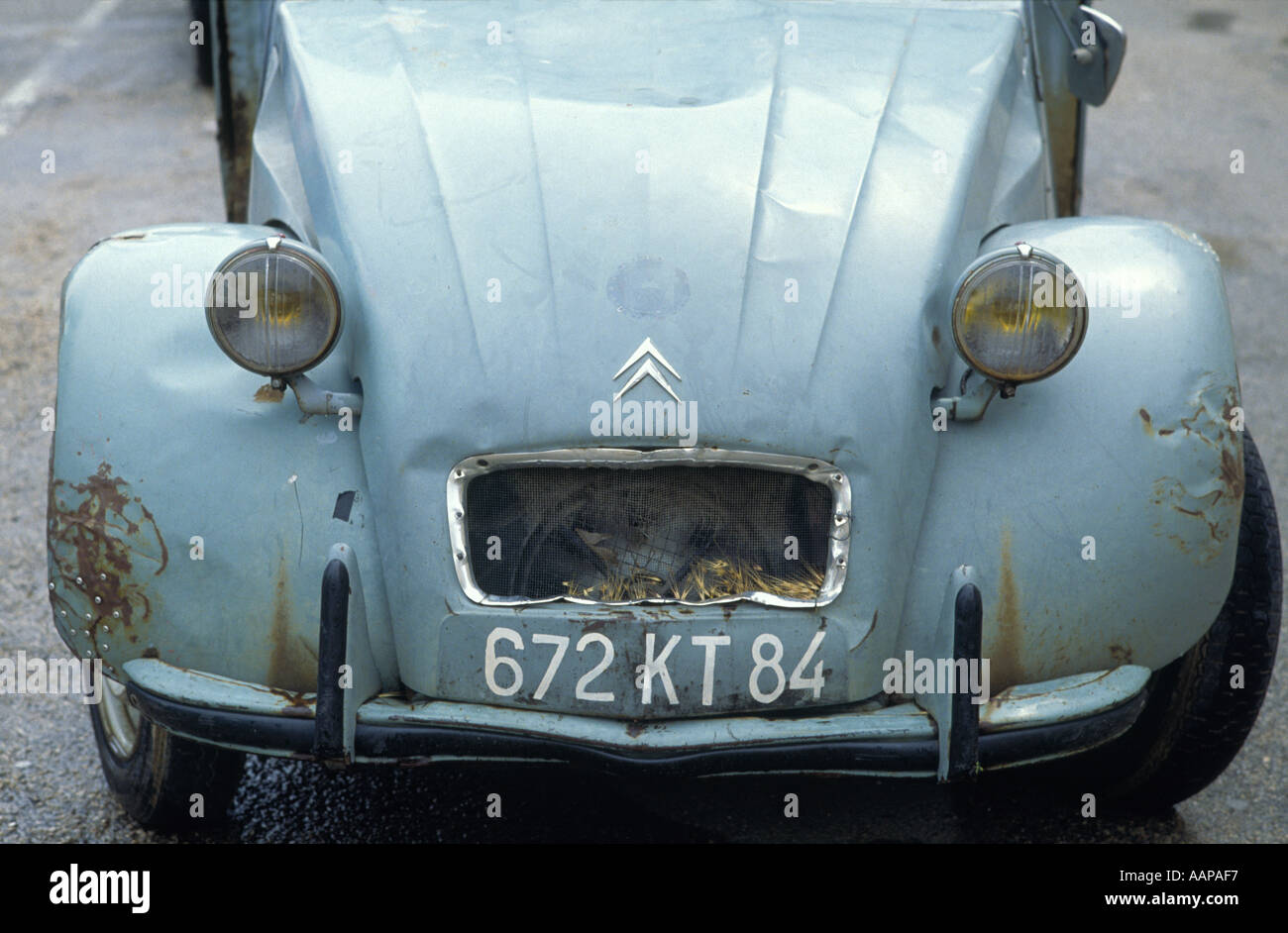 Alten Citroen 2CV Brittany France Stockfoto