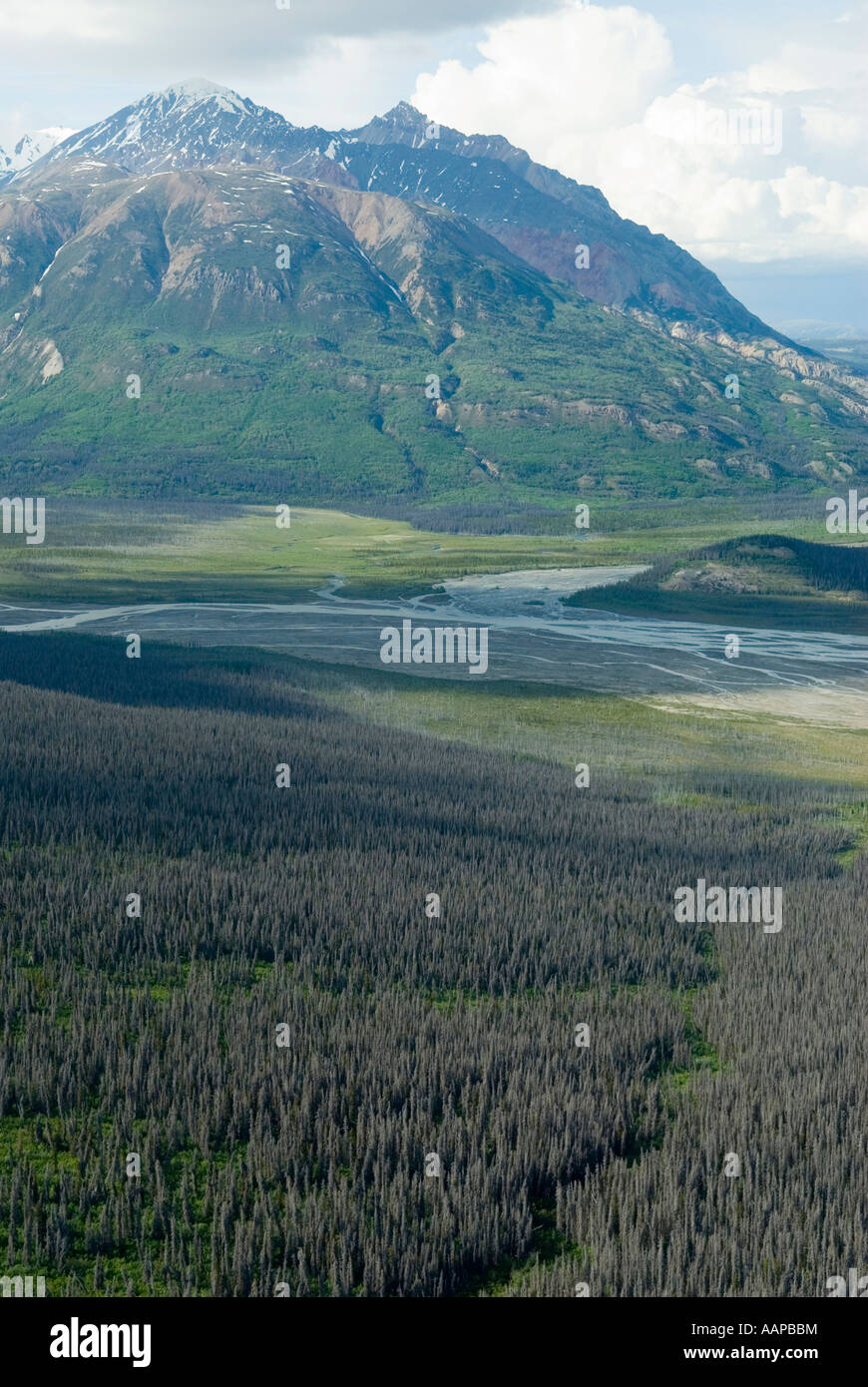 Das Flussdelta Kaskawulsh vom Kaskawulsh Gletscher im Kluane National Park Yukon Stockfoto