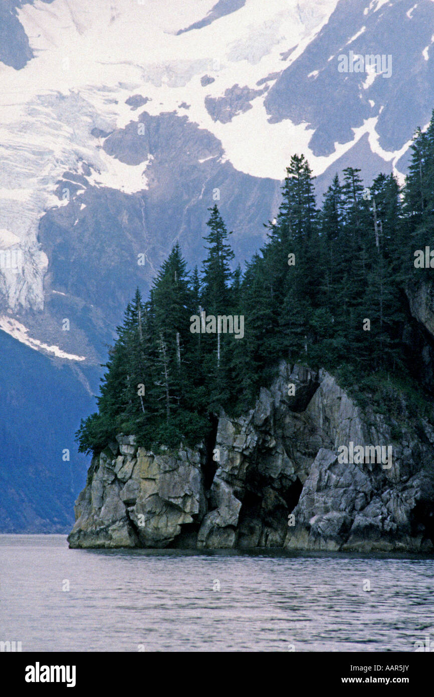 Eine felsige Insel mit Nadelbäumen wird durch einen Gletscher-FJORDS-Nationalpark ALASKA Schatten gestellt. Stockfoto