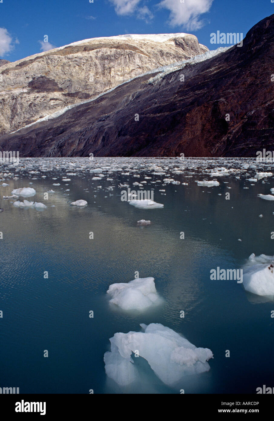 Das klare kalte Wasser GLACIER BAY Nationalpark Alaskas Stockfoto